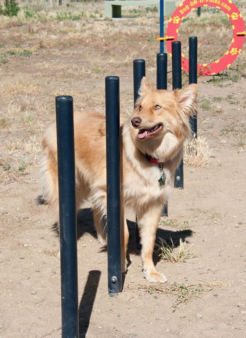Little Dry Creek Dog Park preview 6